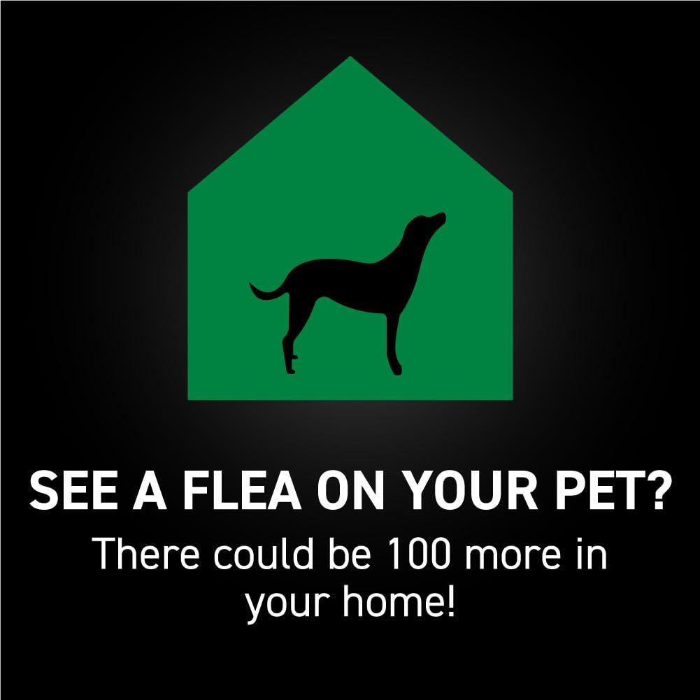 Flea & Tick Topical Dogs Large 1-Month T6463