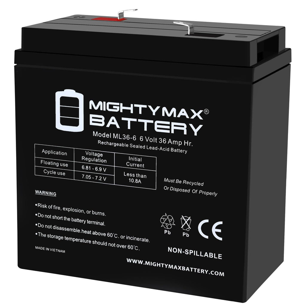 6V 36Ah AGM F2 Terminal Battery E65161