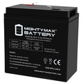 6V 36Ah AGM F2 Terminal Battery E65161