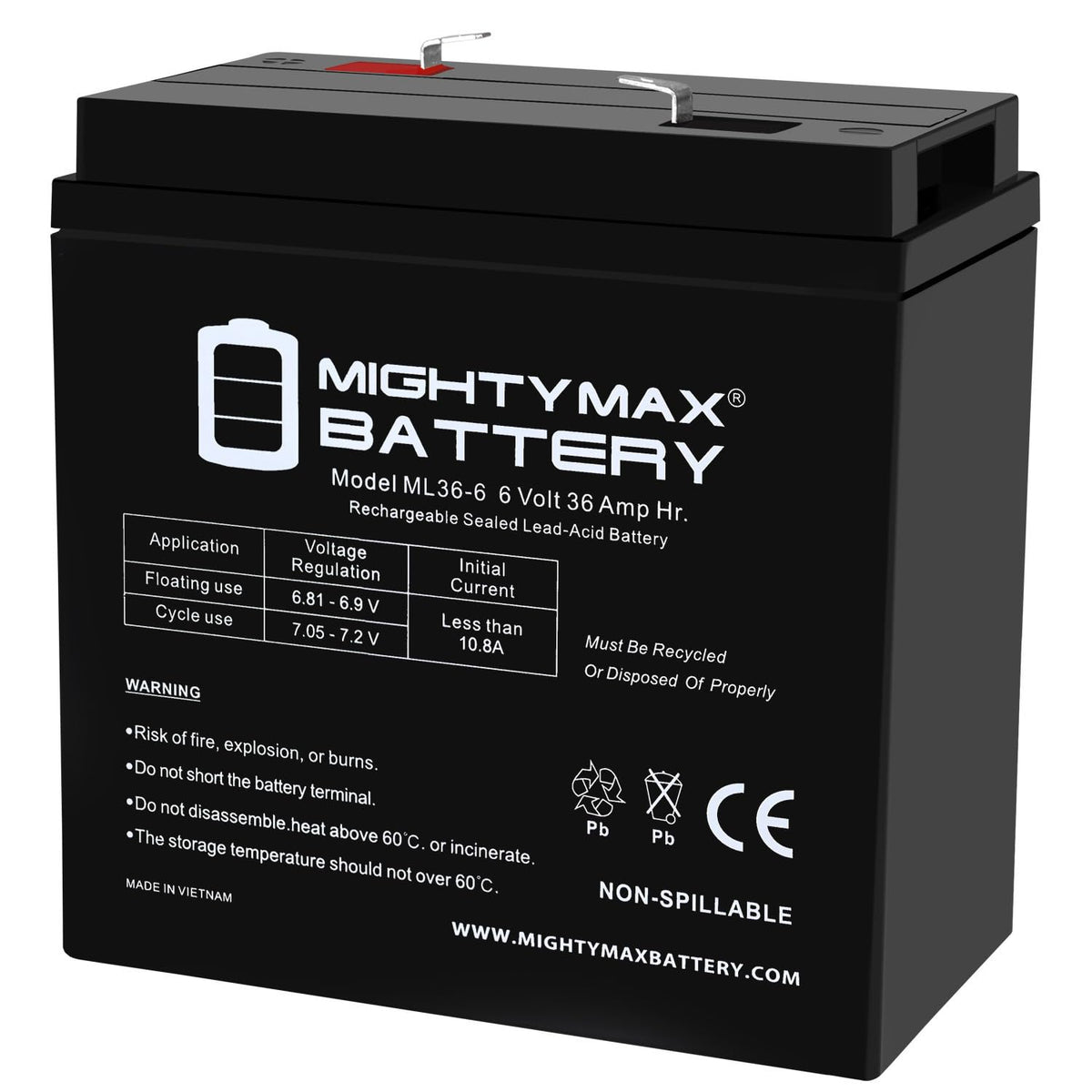 6V 36Ah AGM F2 Terminal Battery E65161