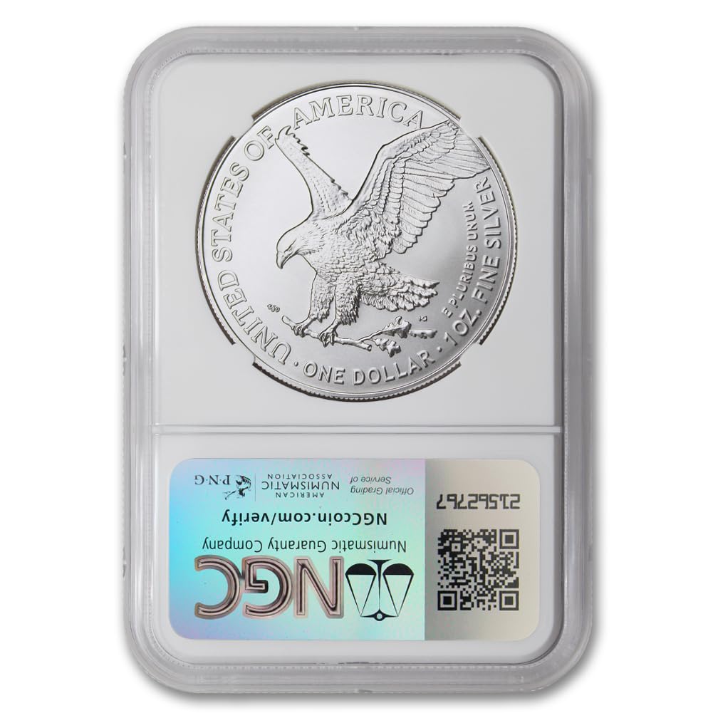 1 oz American Silver Eagle Coin W617102
