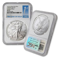 1 oz American Silver Eagle Coin W617102
