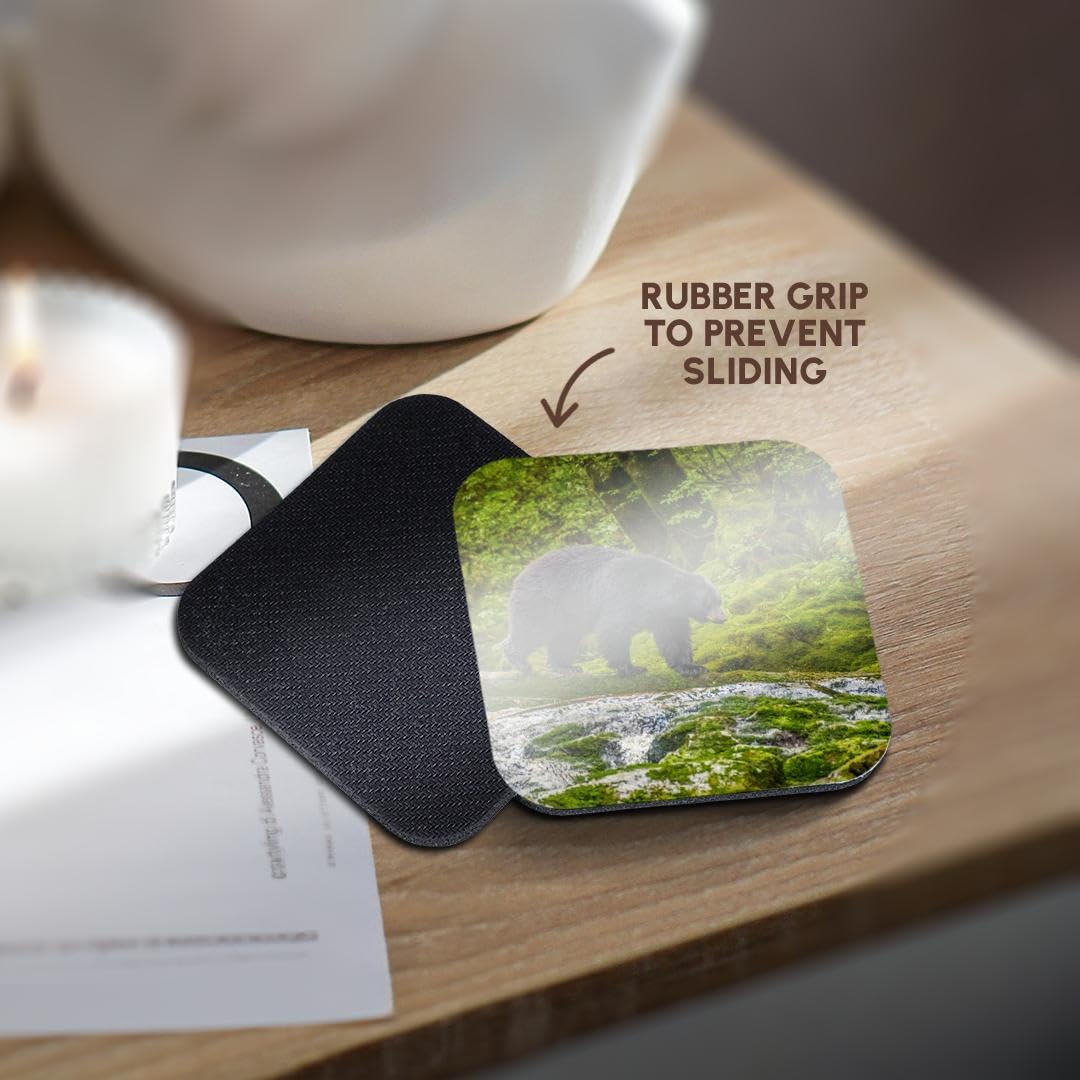 Set of 8 Coasters P457724