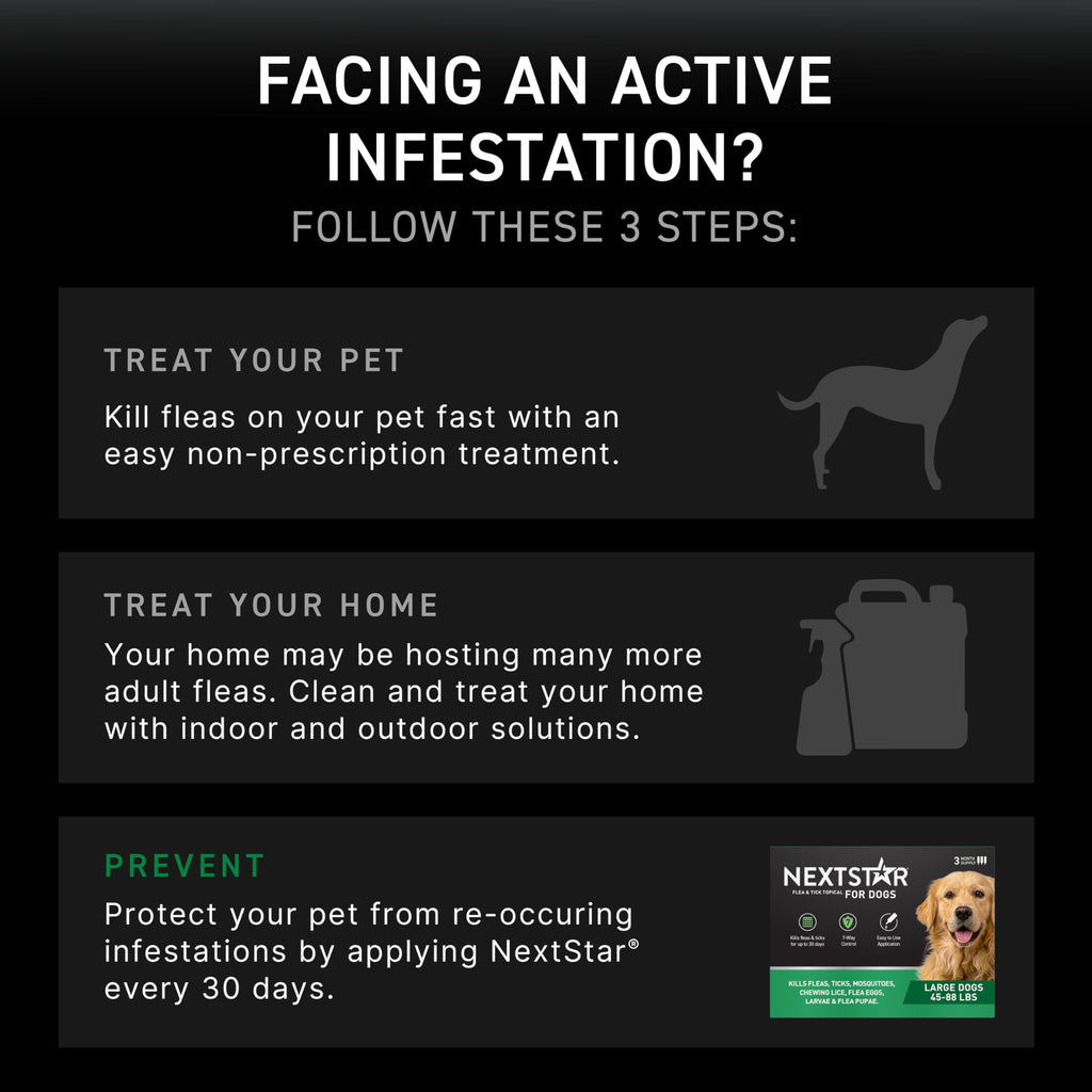 Flea & Tick Topical Dogs Large 1-Month T6463