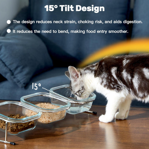 15° Tilted Glass Raised Cat Bowls N176
