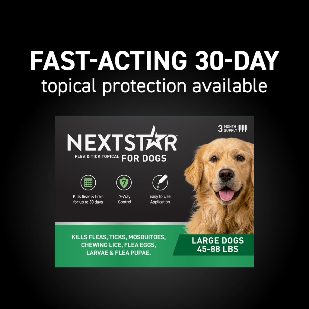 Flea & Tick Topical Dogs Large 1-Month T6463