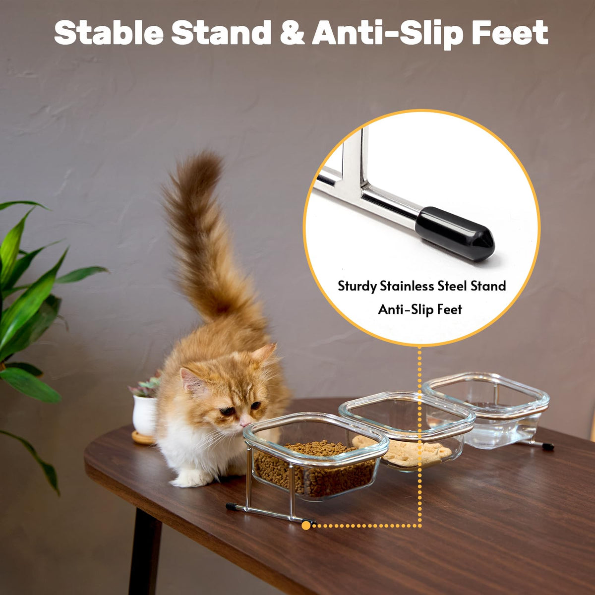 15° Tilted Glass Raised Cat Bowls N176