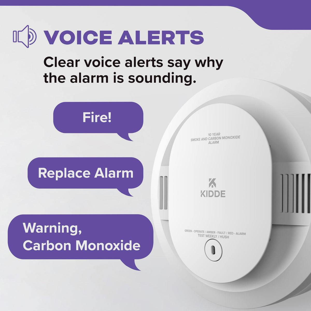 Smoke & Carbon Monoxide Detector, 10-Year Battery, 2 Pack F804383