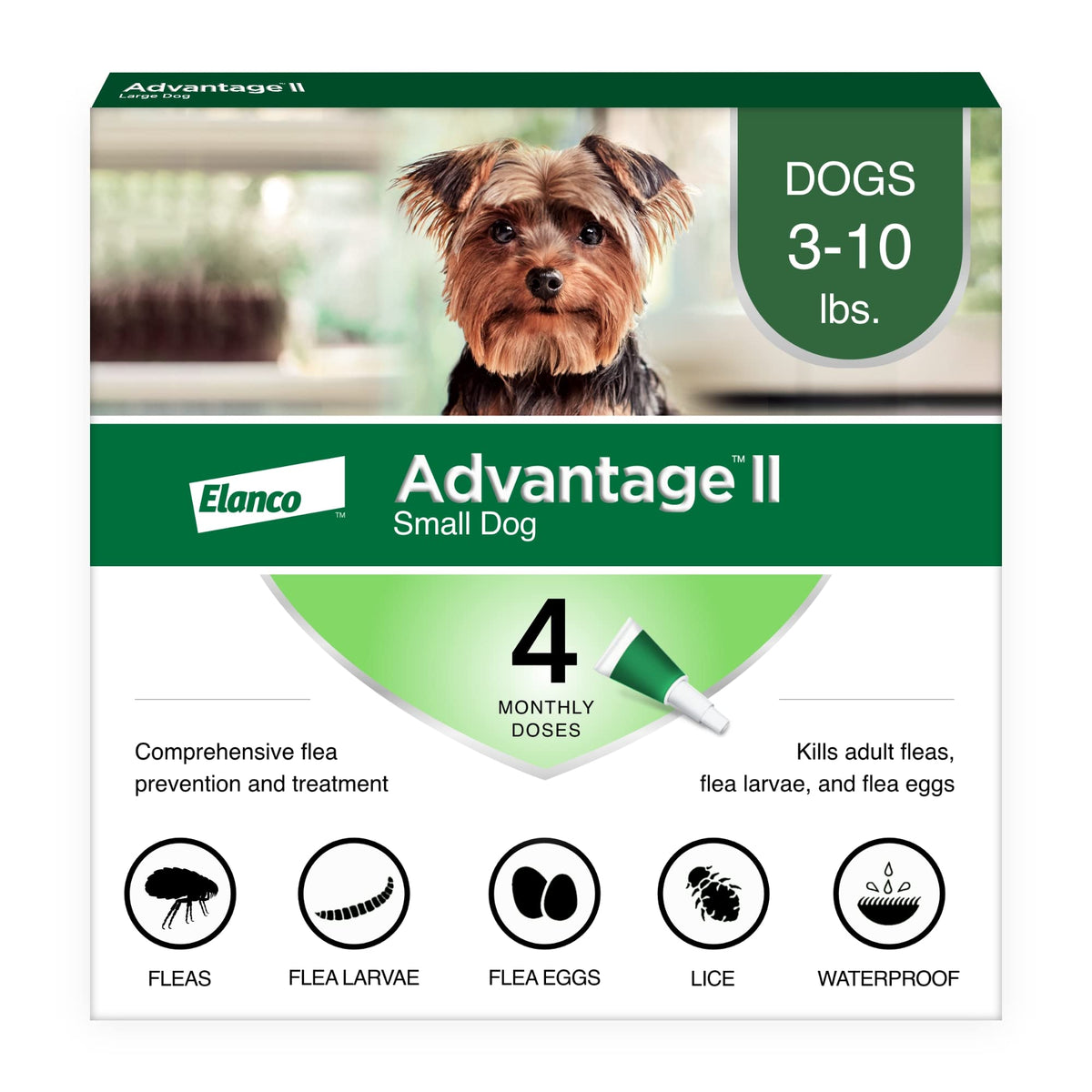 Small Dog Flea Treatment & Prevention 4-Month Supply J369