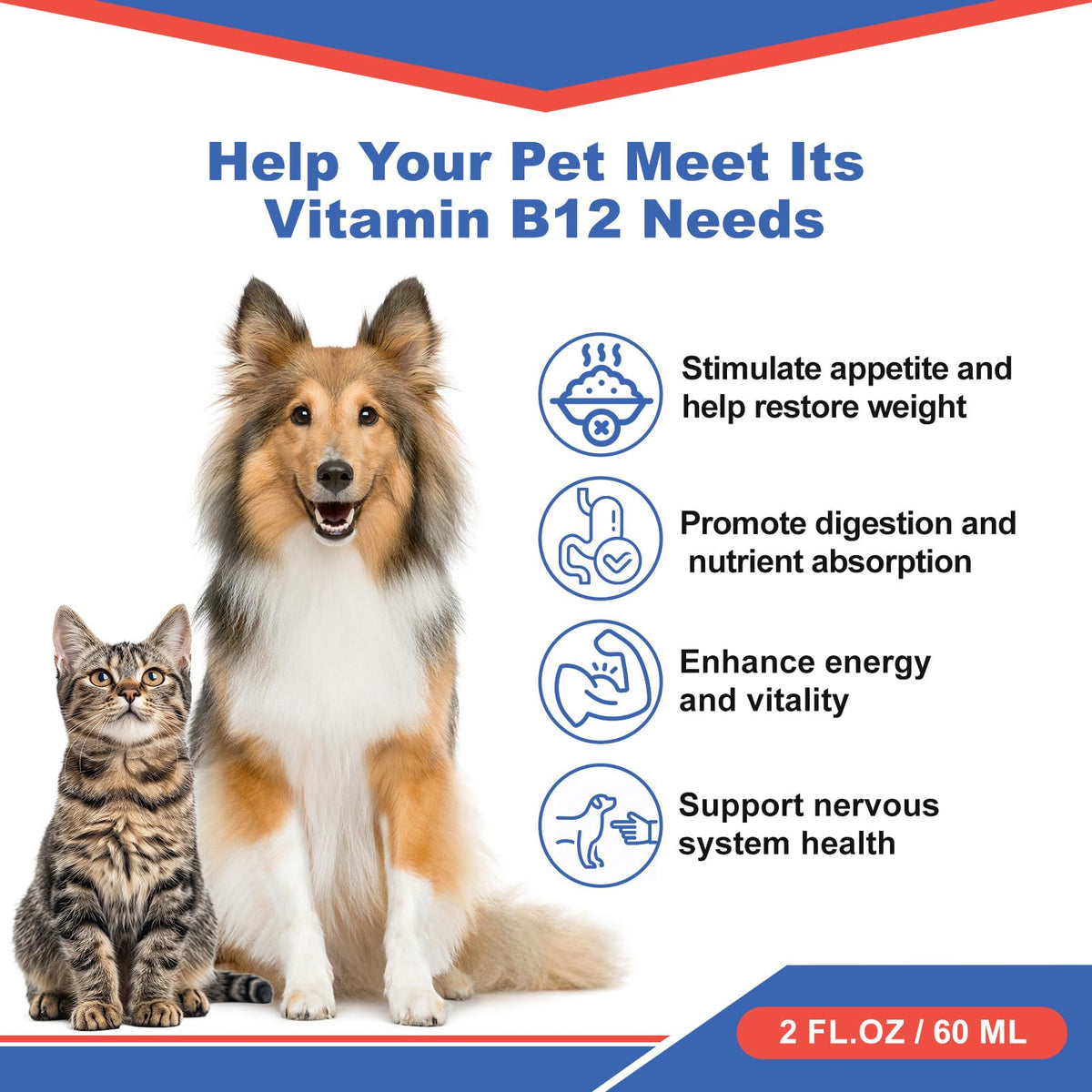 Vitamin B12 Liquid Supplement 60 ml C42585