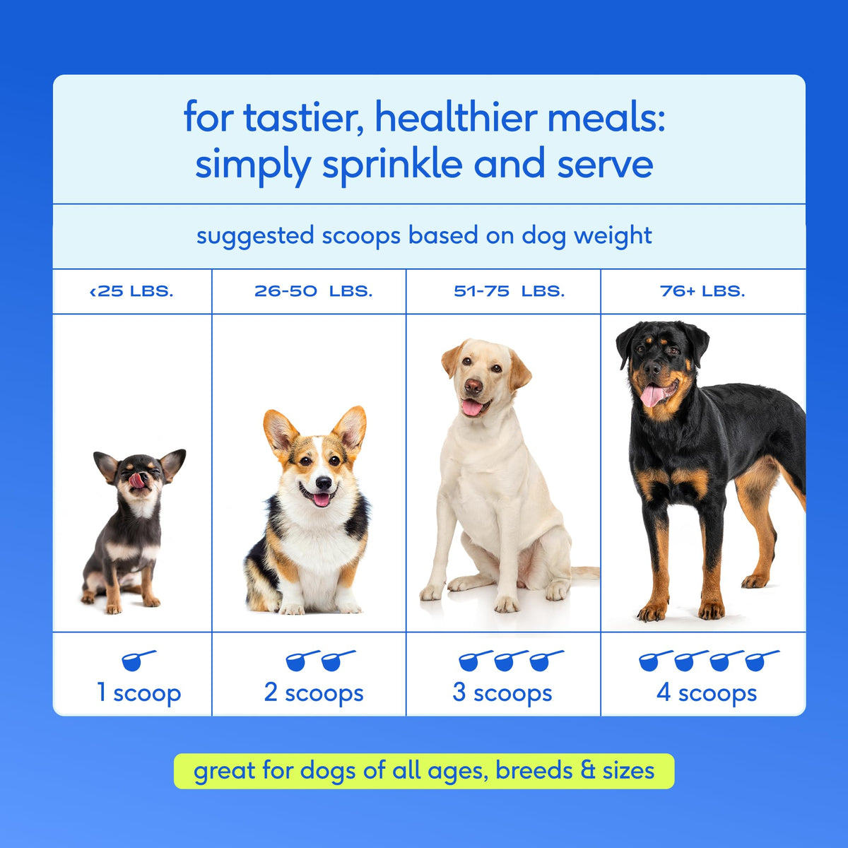 Dog Multivitamin Powder with Probiotics S812793