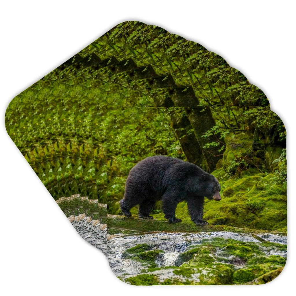 Set of 8 Coasters P457724