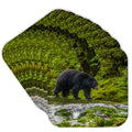 Set of 8 Coasters P457724