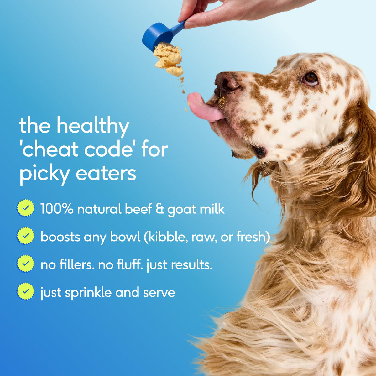 Dog Multivitamin Powder with Probiotics S812793