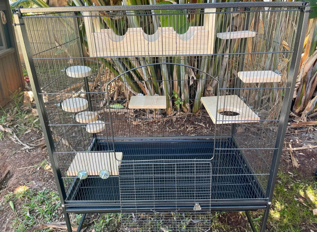 10 Piece Pine Pet Steps and Ledges O8488