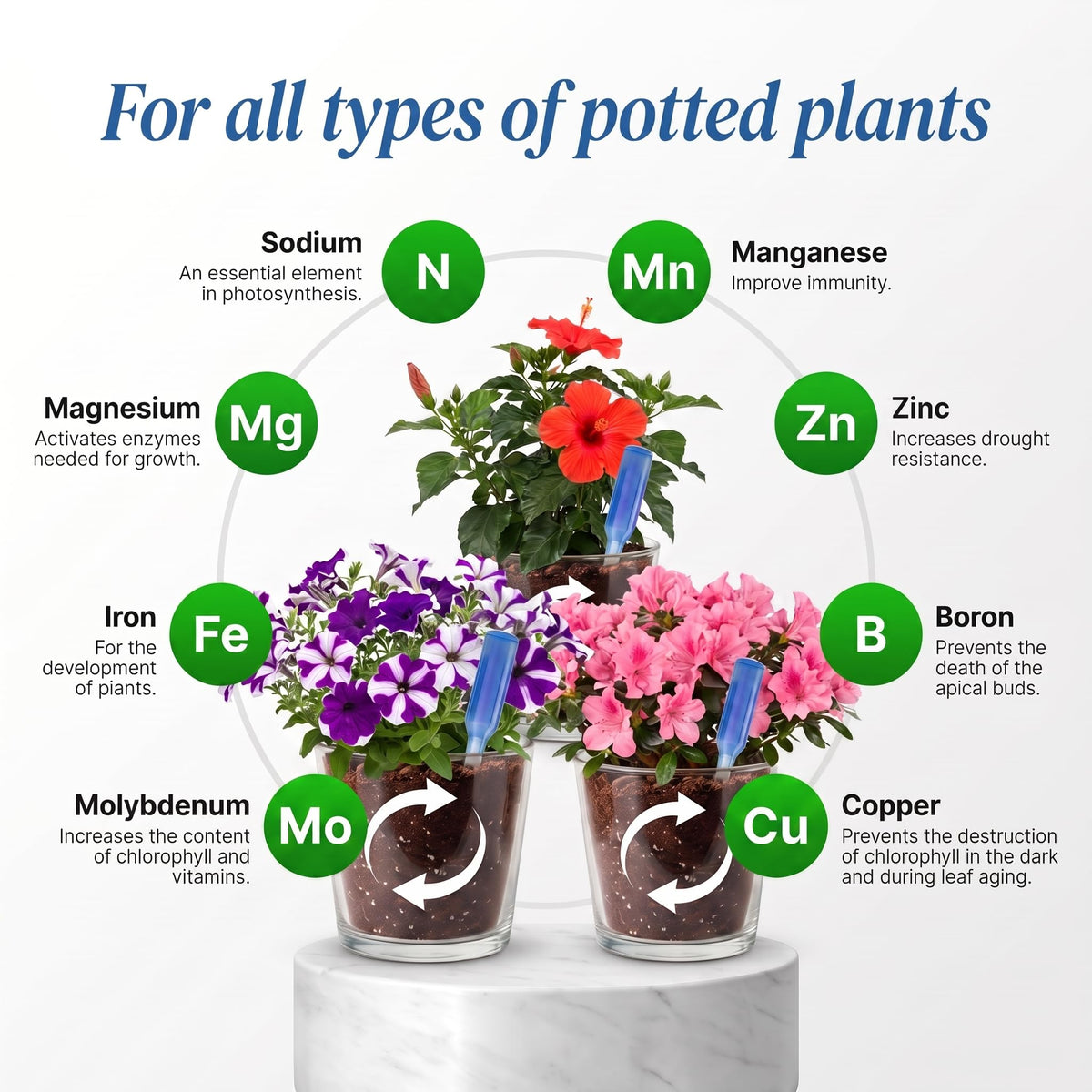 Liquid Plant Food Fertilizer 6-Pack Concentrated Nutrient Solution W69037