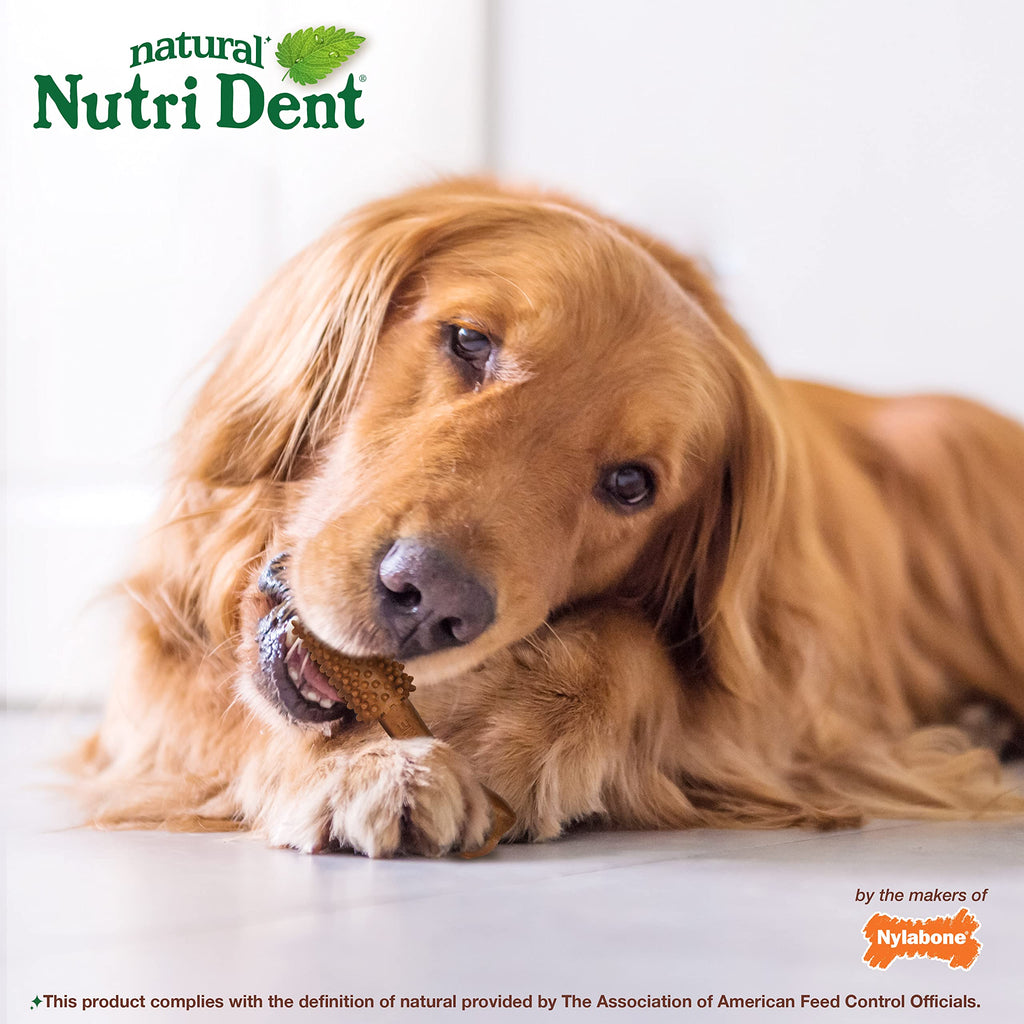 Large Filet Mignon Flavor Dog Dental Chews 20 Count E99684
