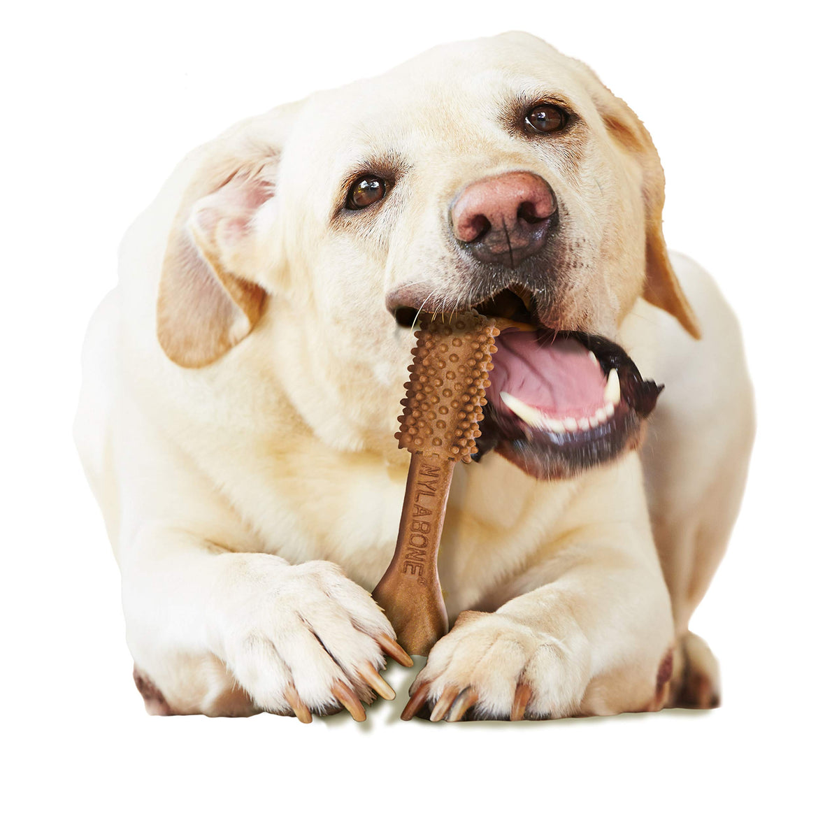 Large Filet Mignon Flavor Dog Dental Chews 20 Count E99684