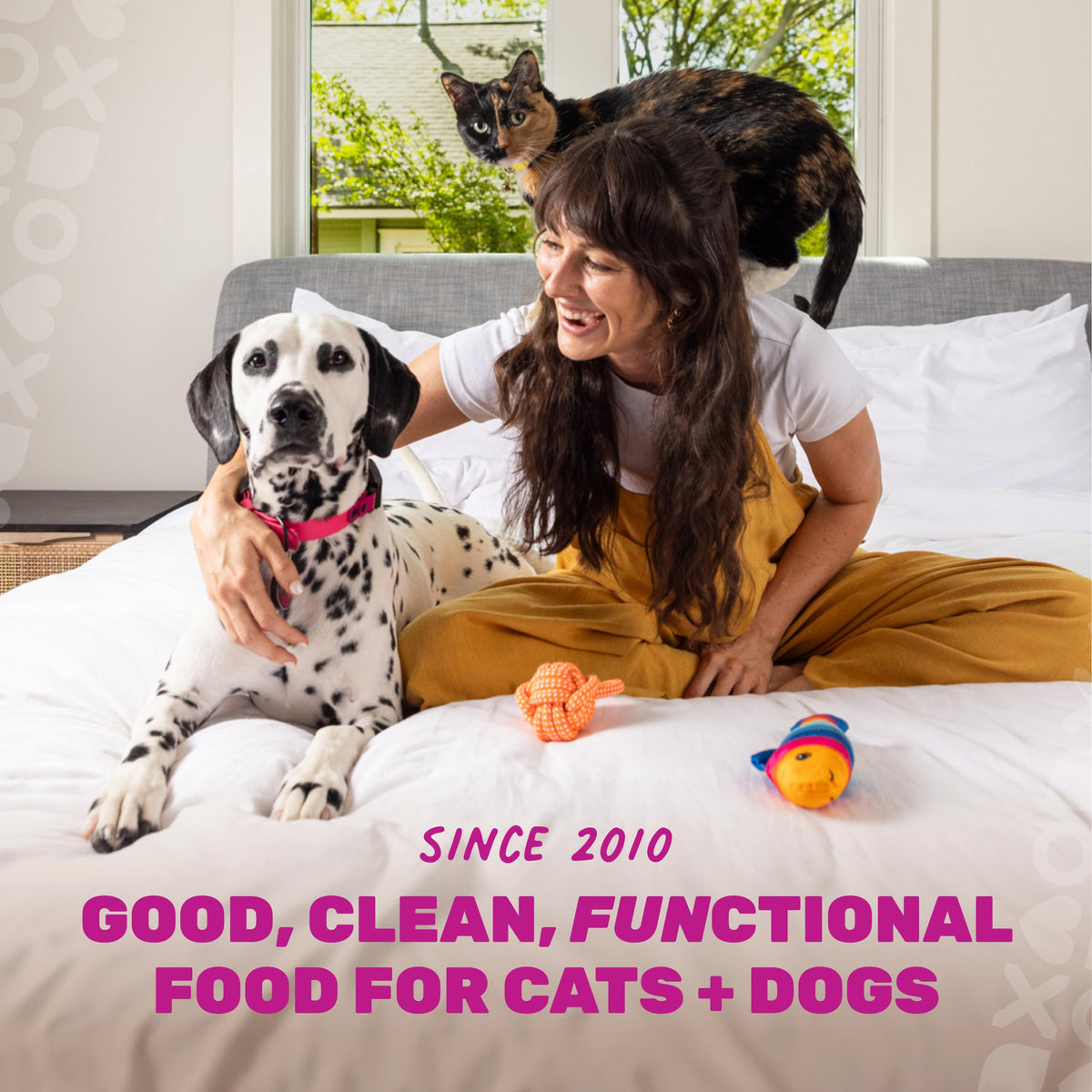 Grain Free Chicken Pumpkin Dry Cat Food Q85313