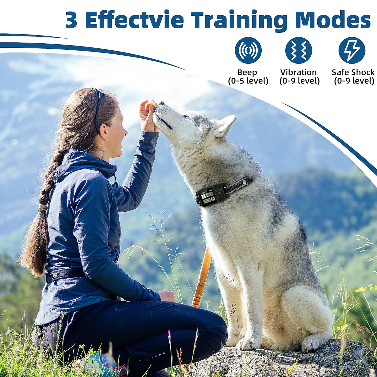 Wireless Dog Fence System, IP68 Waterproof E629413