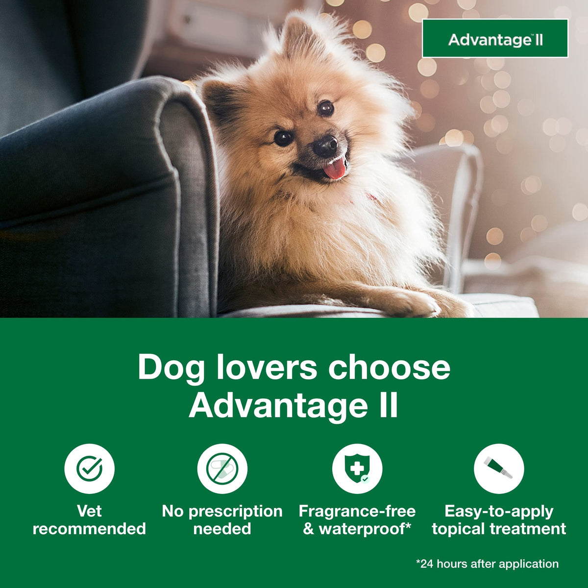 Small Dog Flea Treatment & Prevention 4-Month Supply J369