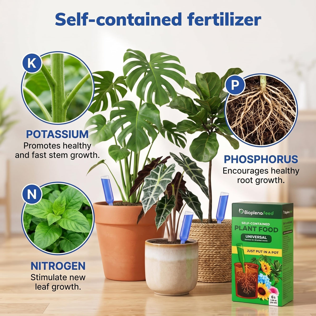 Liquid Plant Food Fertilizer 6-Pack Concentrated Nutrient Solution W69037