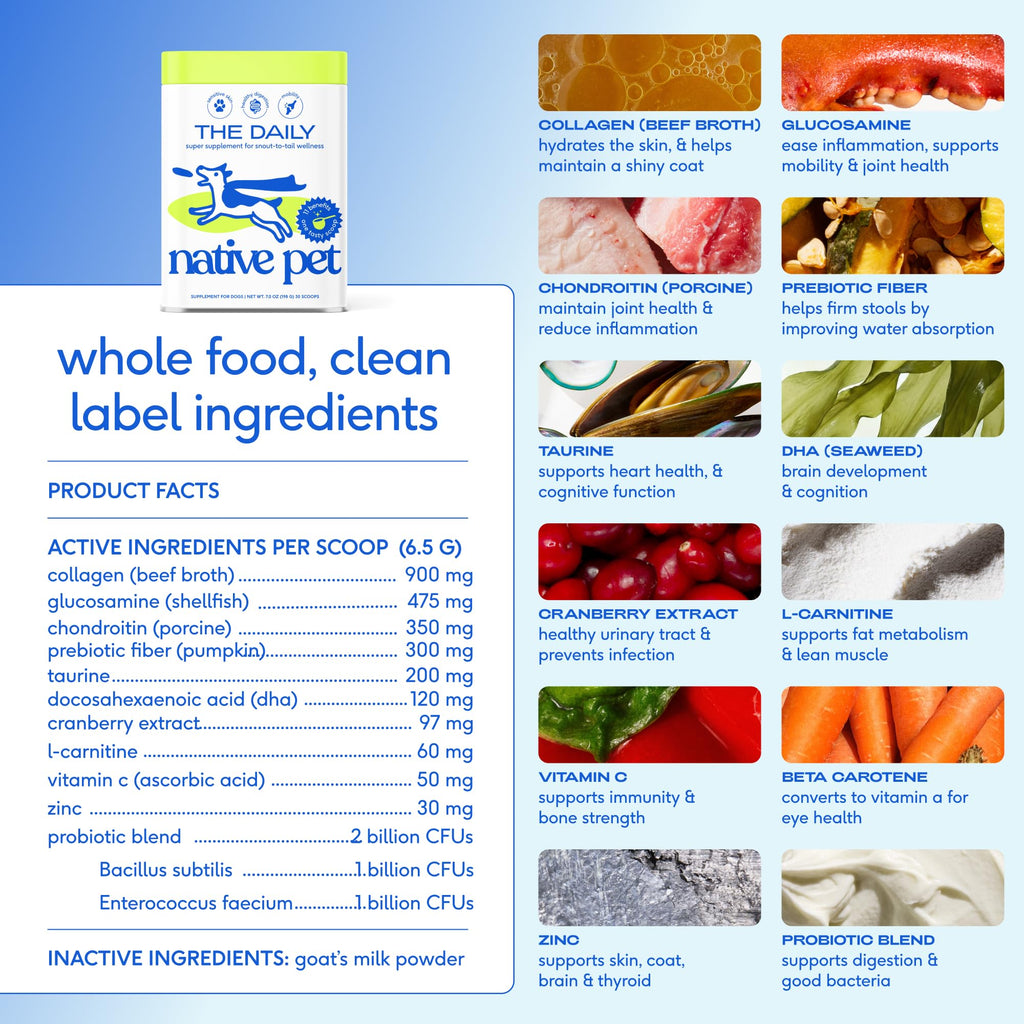 Dog Multivitamin Powder with Probiotics S812793