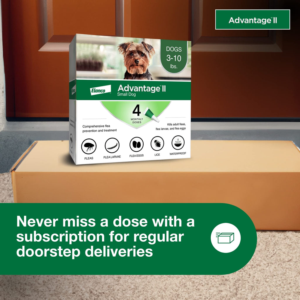 Small Dog Flea Treatment & Prevention 4-Month Supply J369
