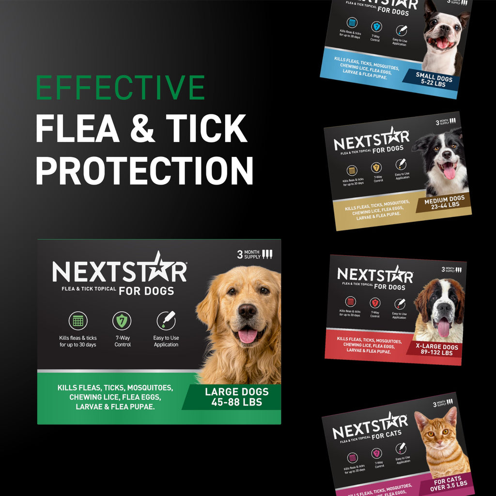 Flea & Tick Topical Dogs Large 1-Month T6463