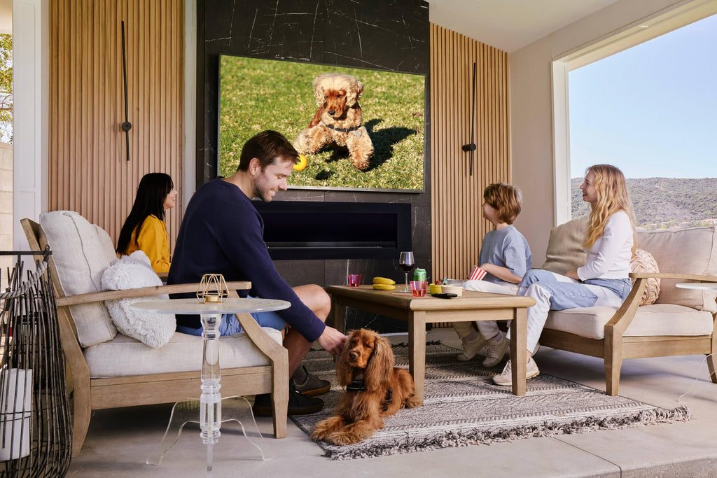 55" Smart Waterproof Outdoor TV D216
