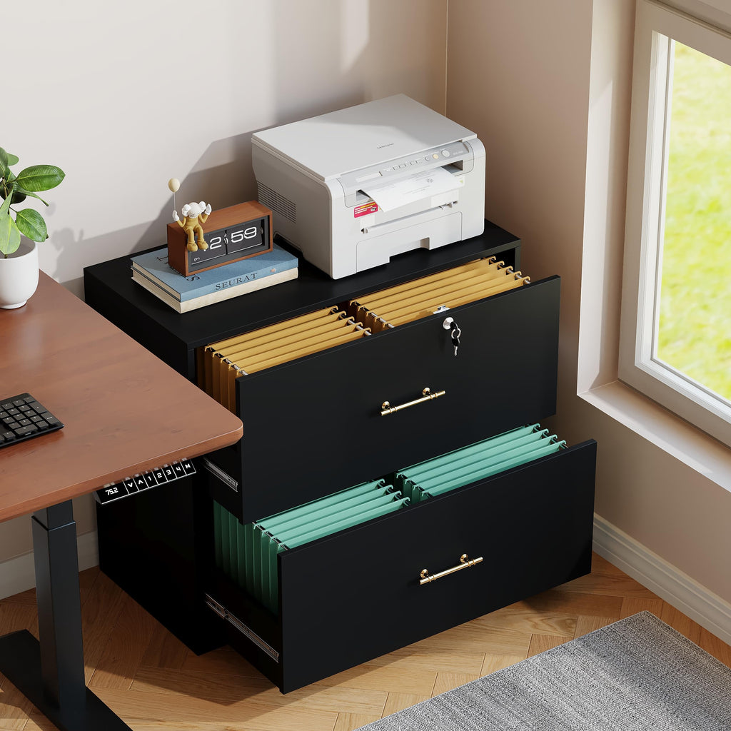 Black 2 Drawer Lateral File Cabinet with Lock L363
